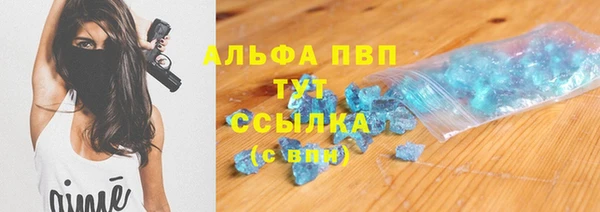 СК Алзамай