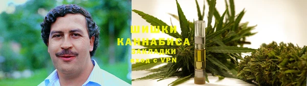 ешки Алексеевка