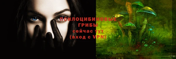 ешки Алексеевка