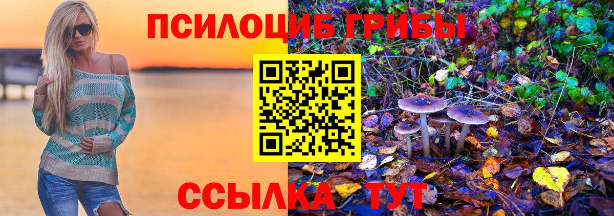 Псилоцибиновые грибы Psilocybe  наркота  Анжеро-Судженск  Вход с VPN 
