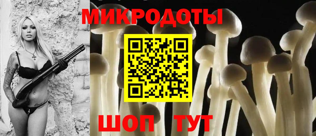 Псилоцибиновые грибы Psilocybine cubensis Анжеро-Судженск